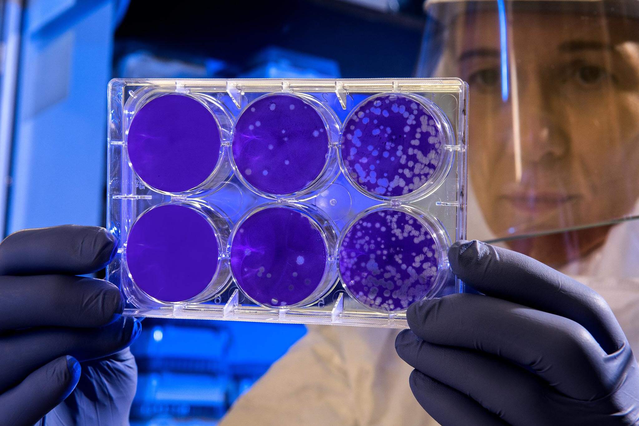 Keep Calm and Research On How to separate hype from fact in biomedical research